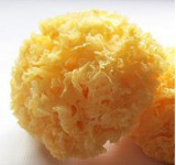 �|��ľ��